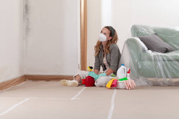 Reliable Commercial Mold Remediation contractor in Stevenson, MD by WQB Mold Removal